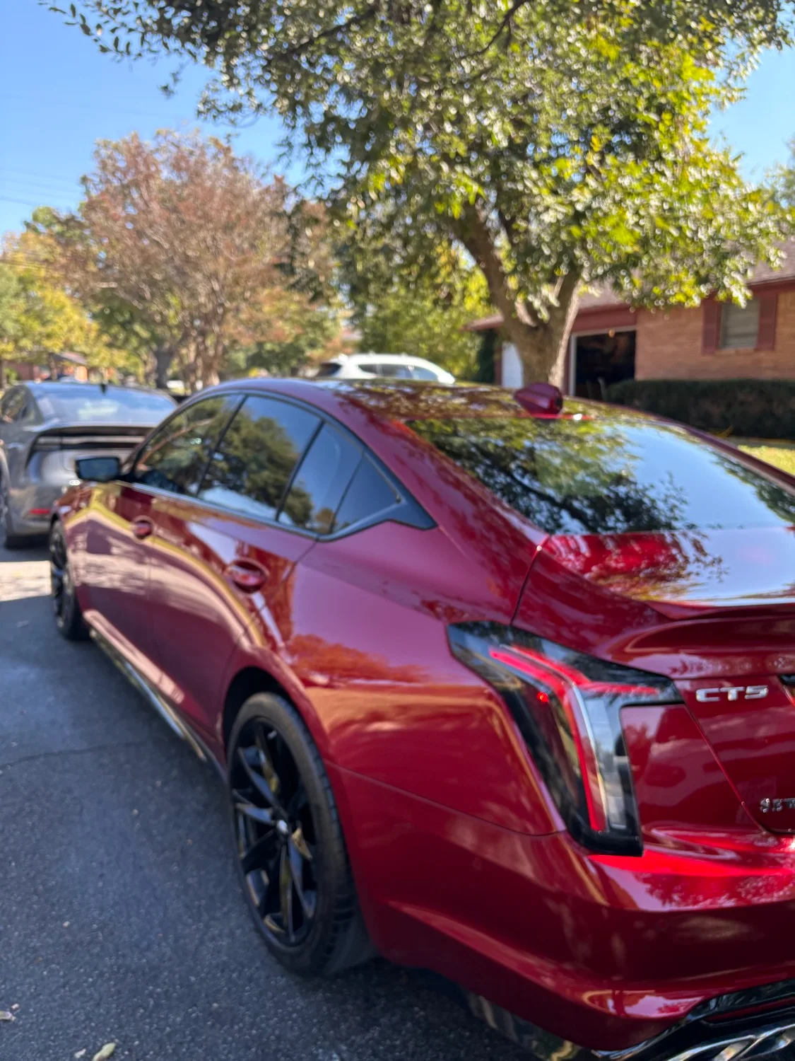 Interior shampoo and leather conditioning on a vehicle in Dallas
